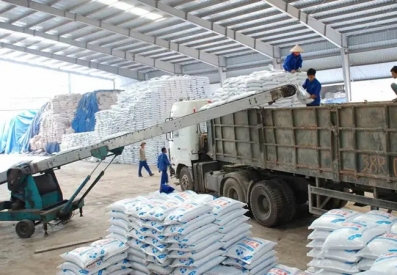  Thị trường nhập khẩu phân bón 8 tháng đầu năm 2024