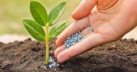 Phân bón xuất khẩu 2 tháng đầu năm 2025 giảm cả lượng, kim ngạch và giá