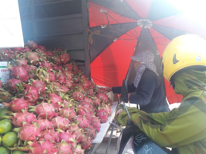 13.000 tấn thanh long quả tươi sang Trung Quốc mỗi ngày