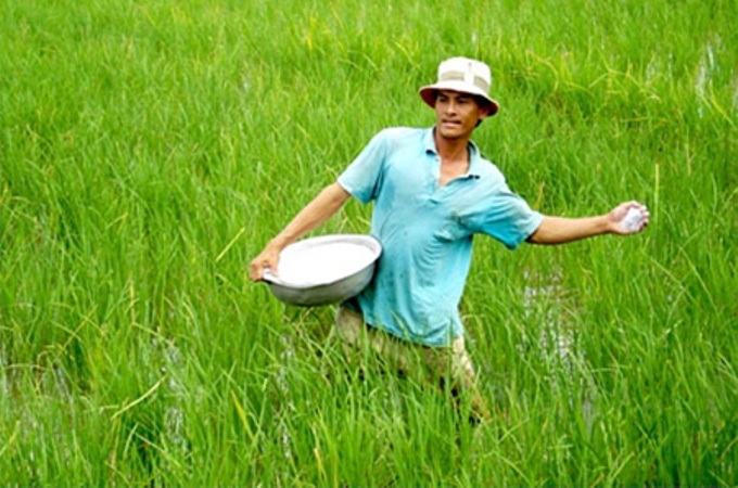 ​Ngộ độc dinh dưỡng trên cây trồng và biện pháp xử lý