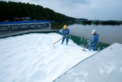  Thị trường phân bón ghi nhận nhiều tín hiệu khởi sắc