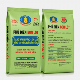 PHÚ ĐIỀN BÓN LÓT