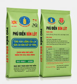 PHÚ ĐIỀN BÓN LÓT